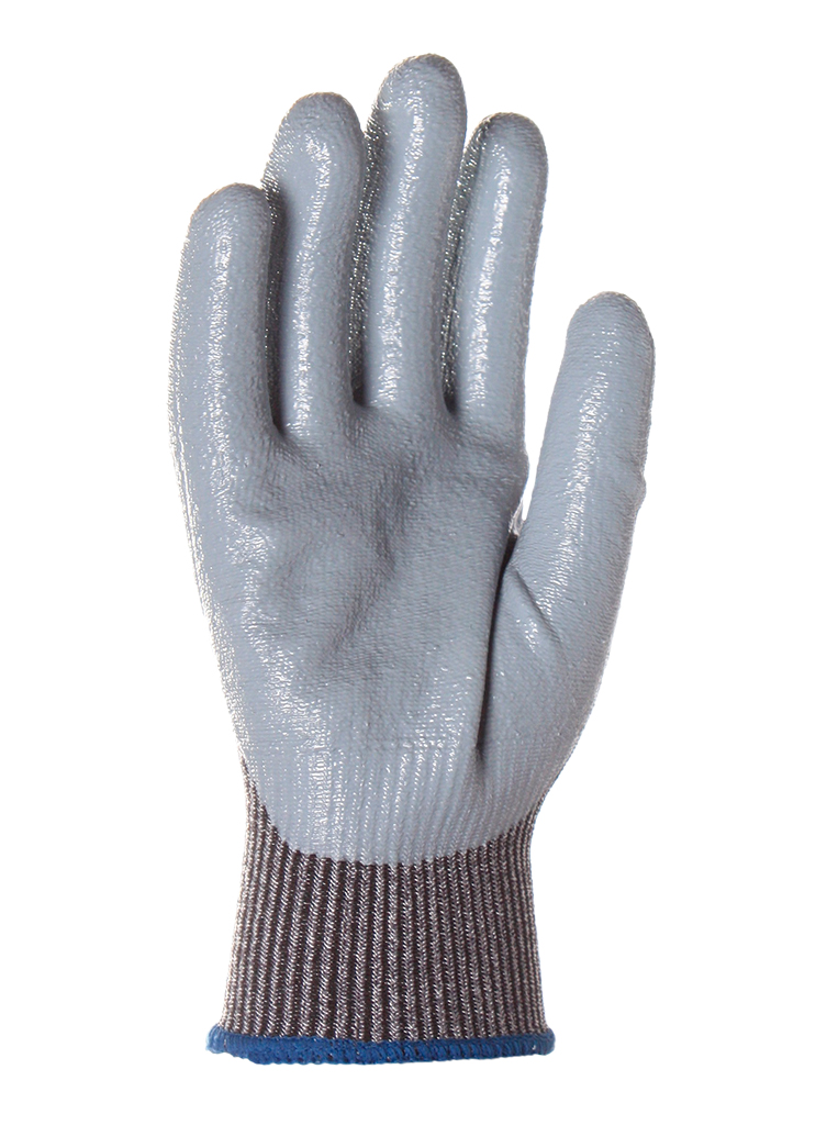 CATTER NT 5 - Imagen 2