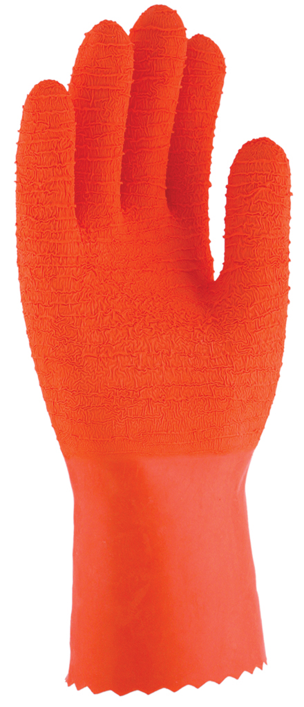 Coral 30 - Imagen 2