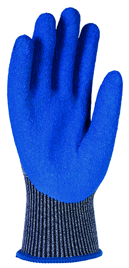 CATTER LX 5 - Imagen 2