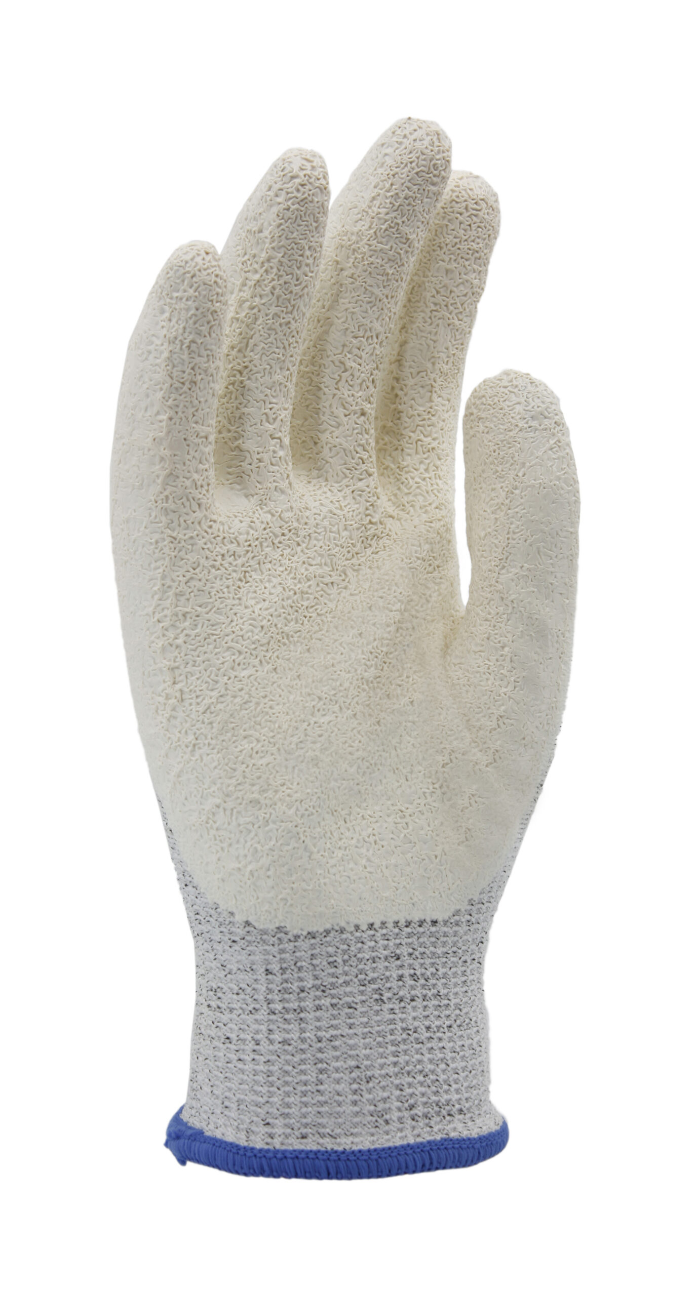 CATTER LX W - Imagen 2