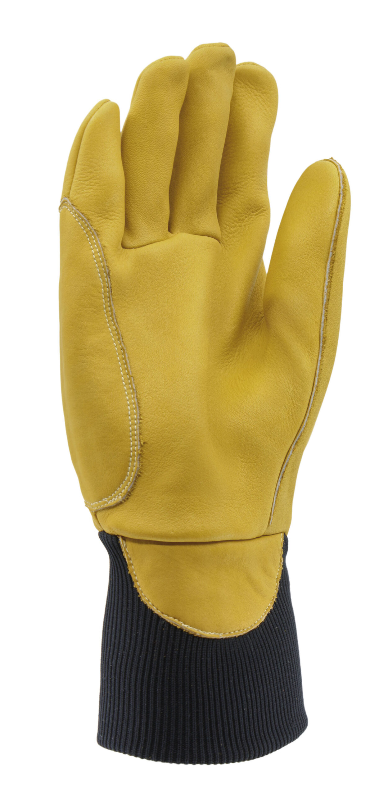 PROWOOD 2 - Imagen 2